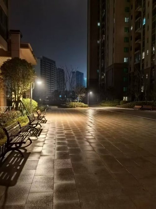 岁序更迭,关于我的2024